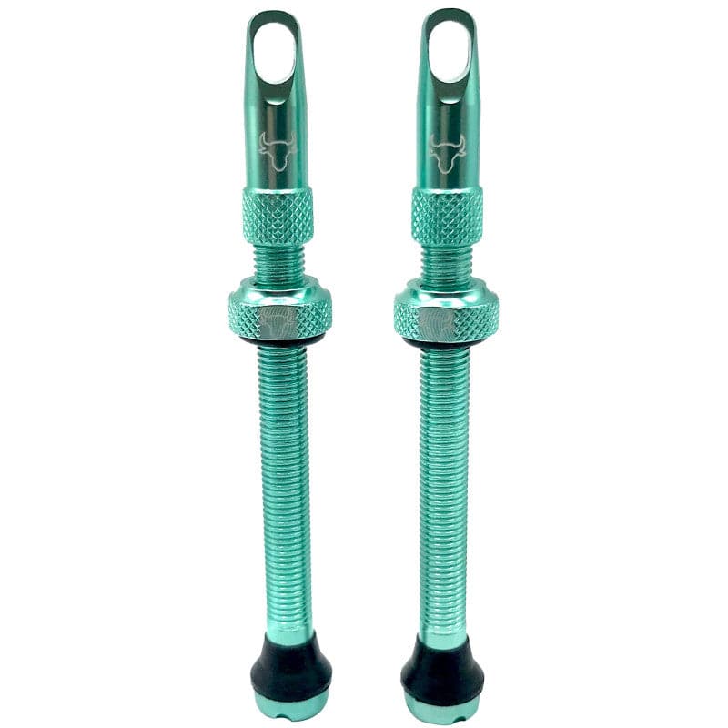 Hold Fast Cycling Tubeless Valve Stem - Presta