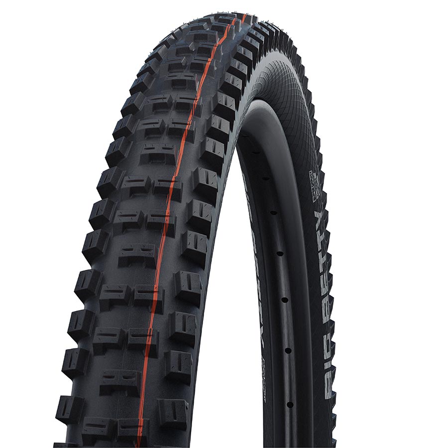 Schwalbe Big Betty MTB Tire
