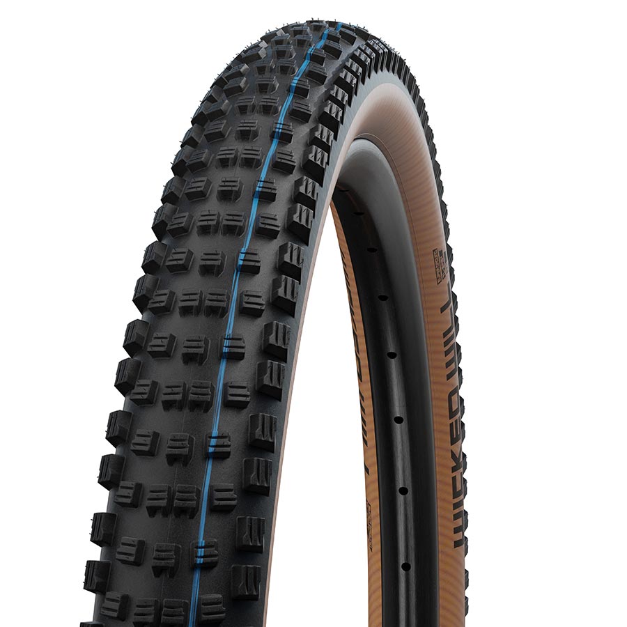 Schwalbe Wicked Will Tire