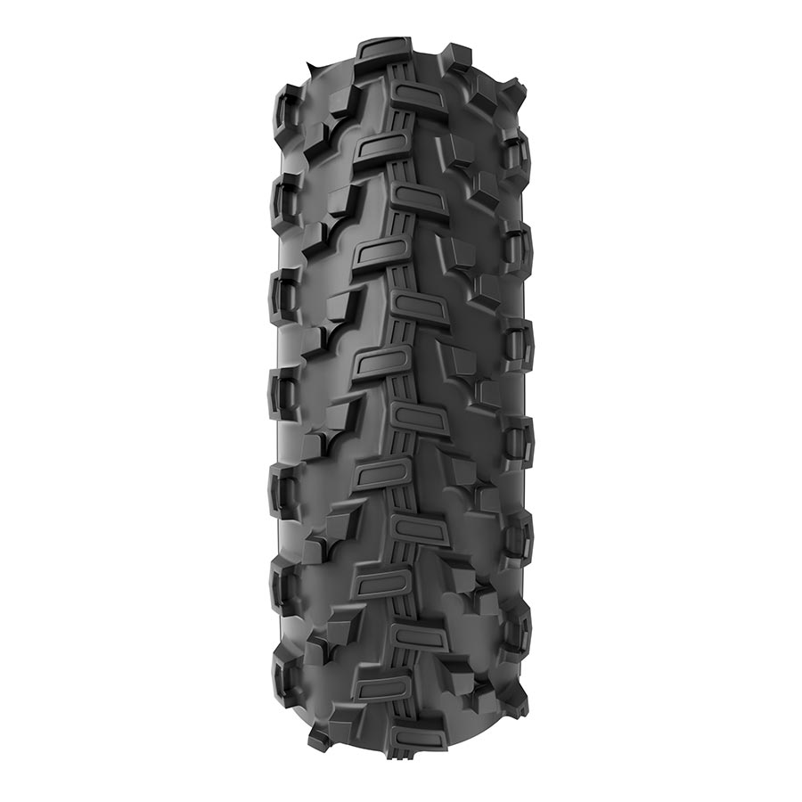 Vittoria Saguaro 1C Tire