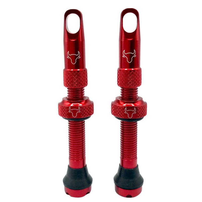 Hold Fast Cycling Tubeless Valve Stem - Presta