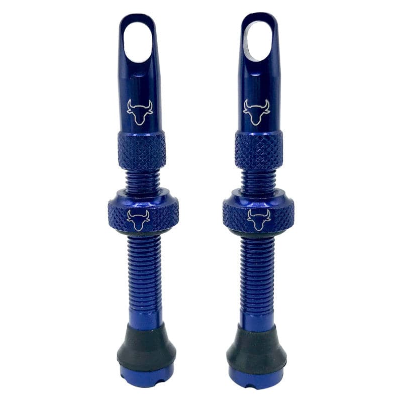 Hold Fast Cycling Tubeless Valve Stem - Presta
