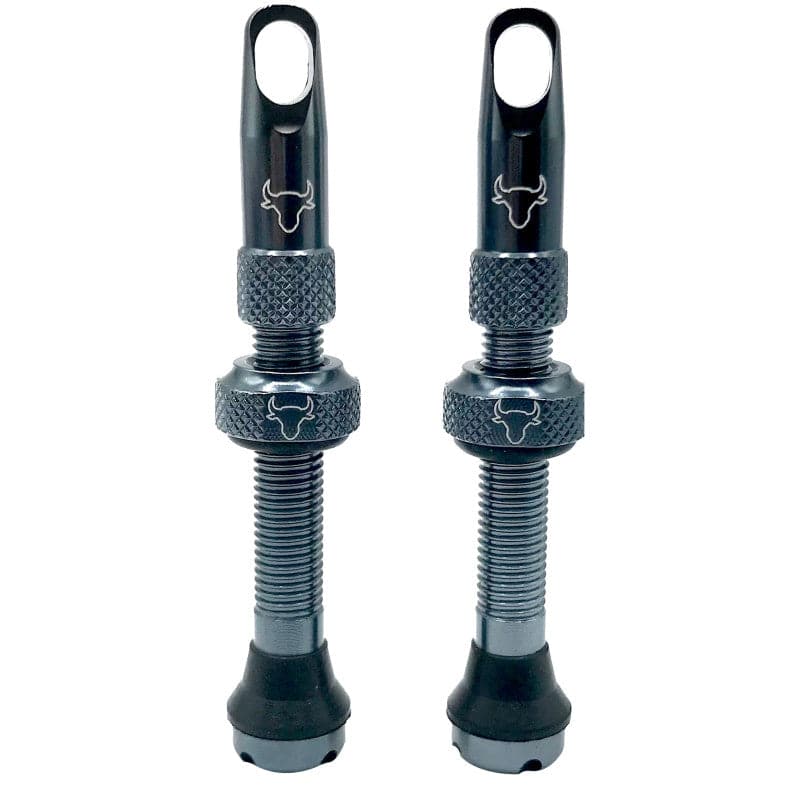 Hold Fast Cycling Tubeless Valve Stem - Presta