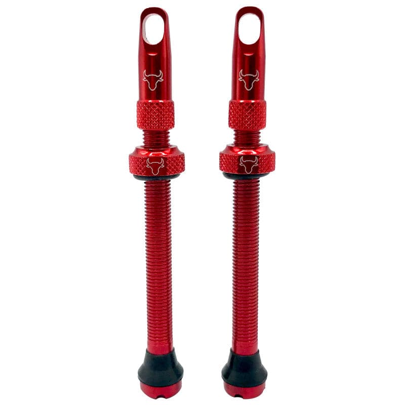 Hold Fast Cycling Tubeless Valve Stem - Presta