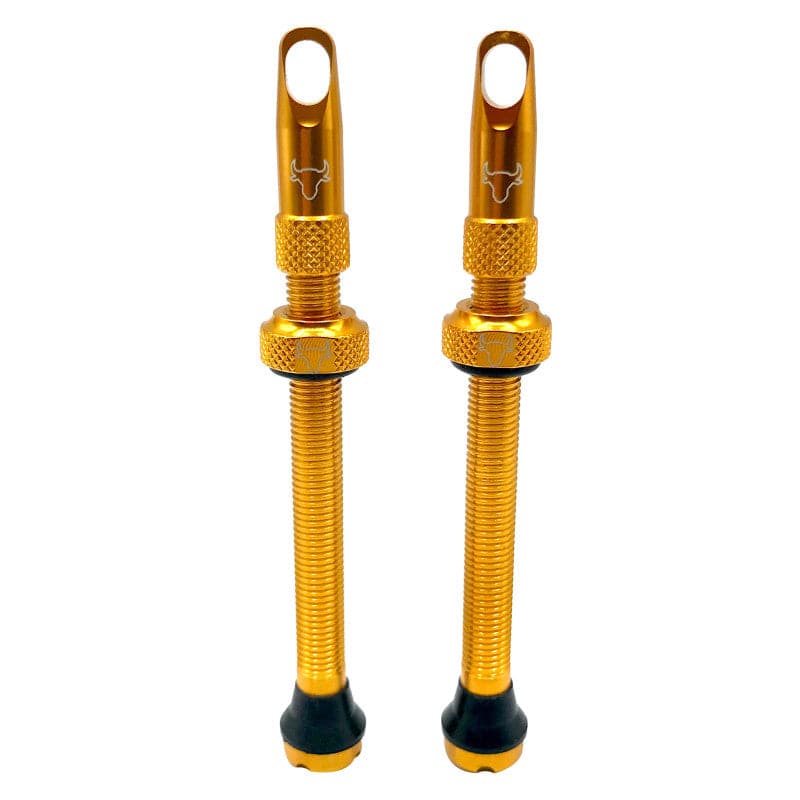 Hold Fast Cycling Tubeless Valve Stem - Presta