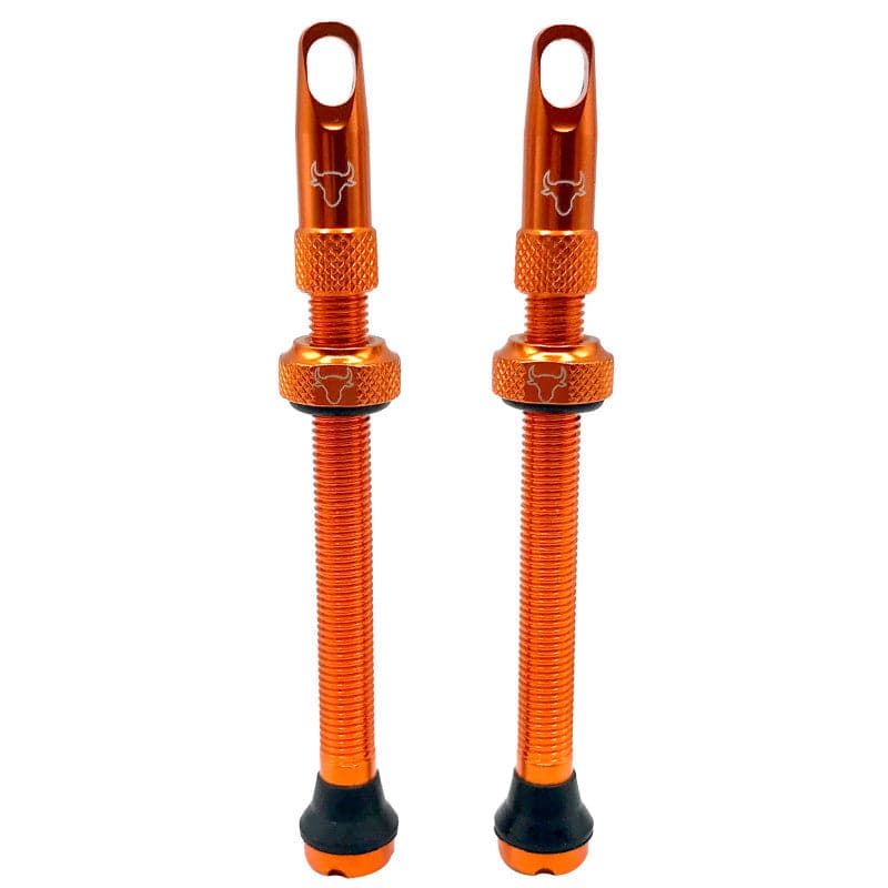 Hold Fast Cycling Tubeless Valve Stem - Presta