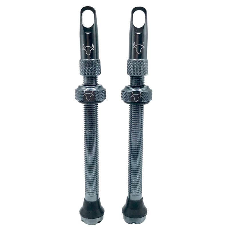 Hold Fast Cycling Tubeless Valve Stem - Presta