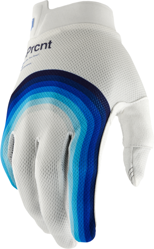 100% Itrack Gloves - Rewind White LiveTheGnar