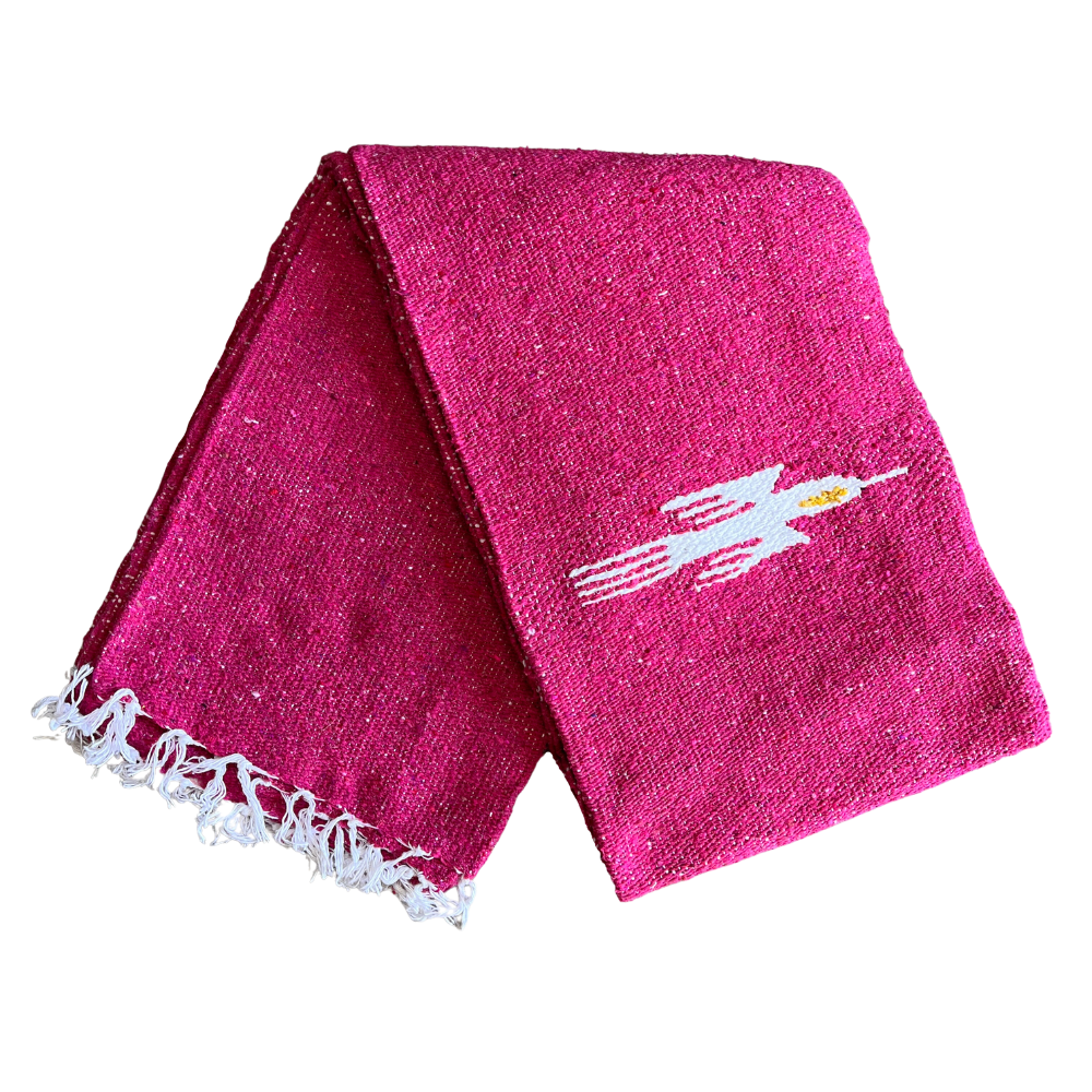 Hot Pink Baja Thunderbird Blanket West Path