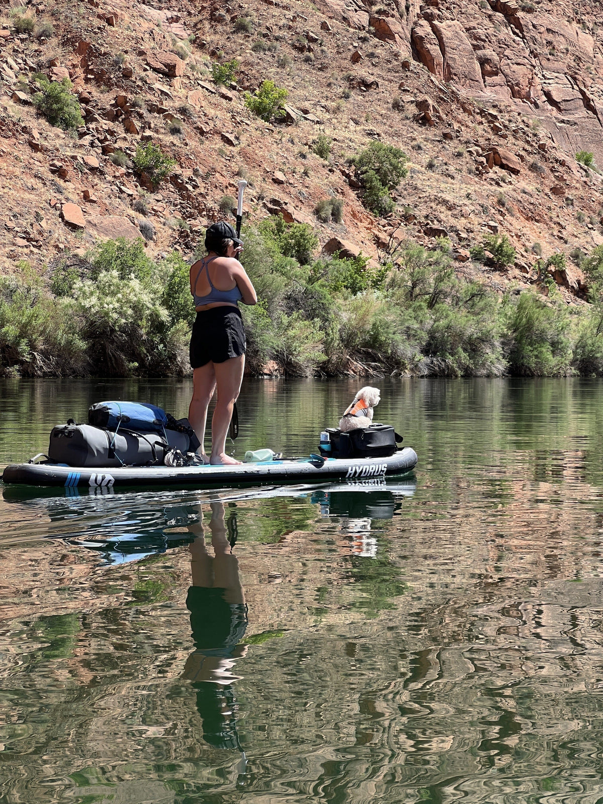 JoyRide All-Around Paddle Board