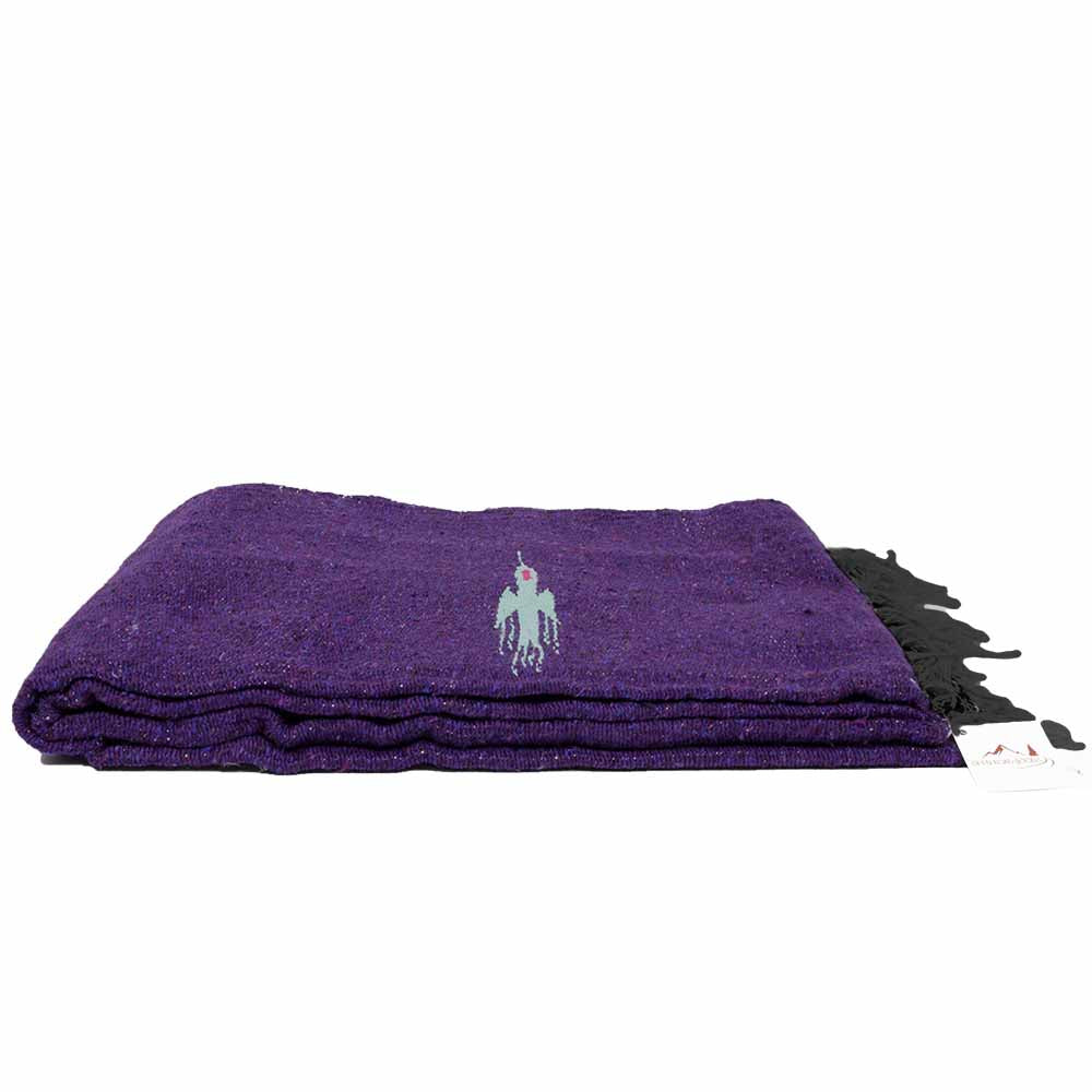 Purple Baja Thunderbird Blanket West Path