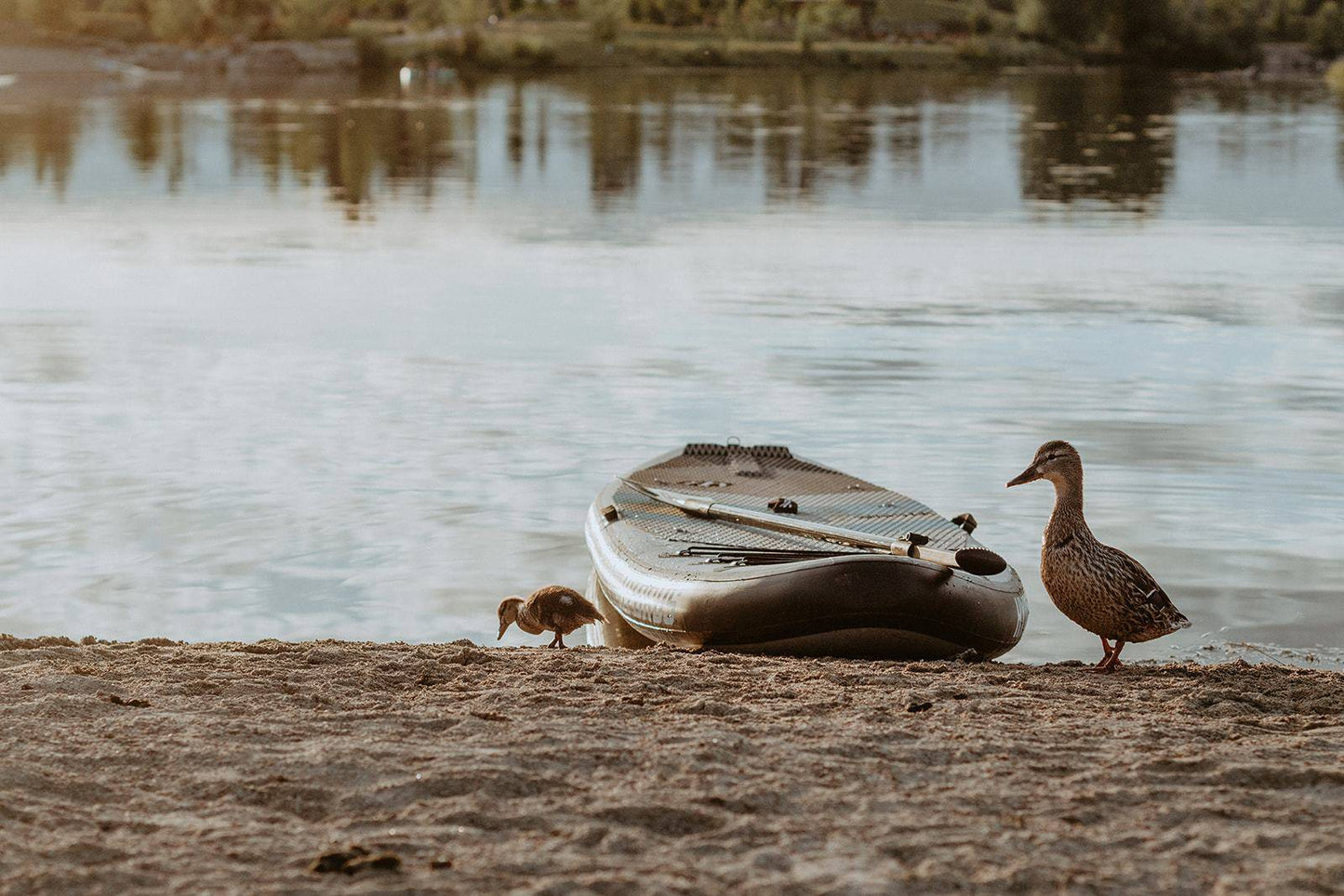 PreSale JoyRide XL All-Around Inflatable Paddleboard